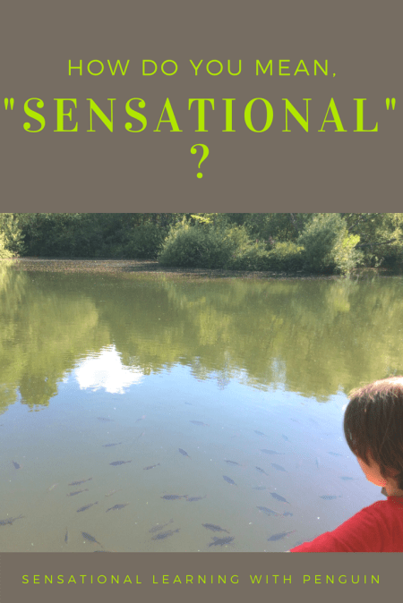 ’Sensational’, in its literal meaning, means something which triggers our senses, causing us heightened sensations. Our blog and our ways of learning is very often about multisensory activities, and about sensory processing. I explain further in this post: ’How do you mean, "sensational"?’ - Sensational Learning with Penguin