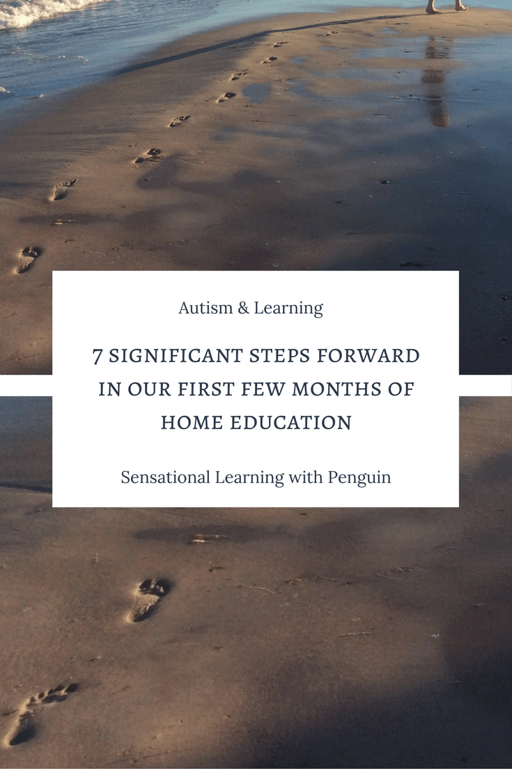 7 significant (non-academic) steps forward in our first few months of Home Education - Autism & Learning - Special Needs - Progress