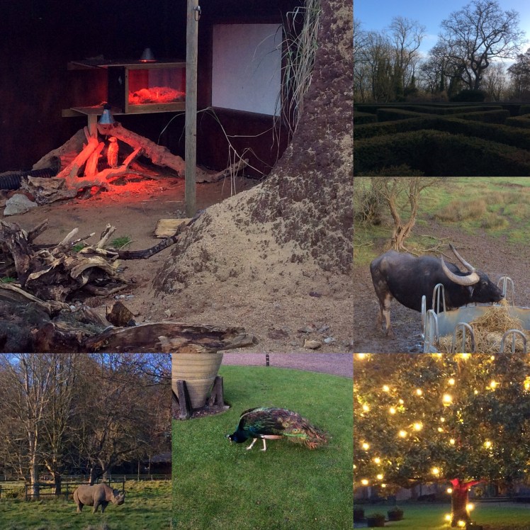 D87438A5-3736-4242-B7A1-E1FC71736BF4