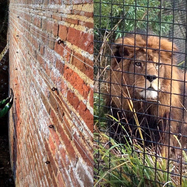 F900F813-7CEC-41C4-8B68-4D6C9722EF7E