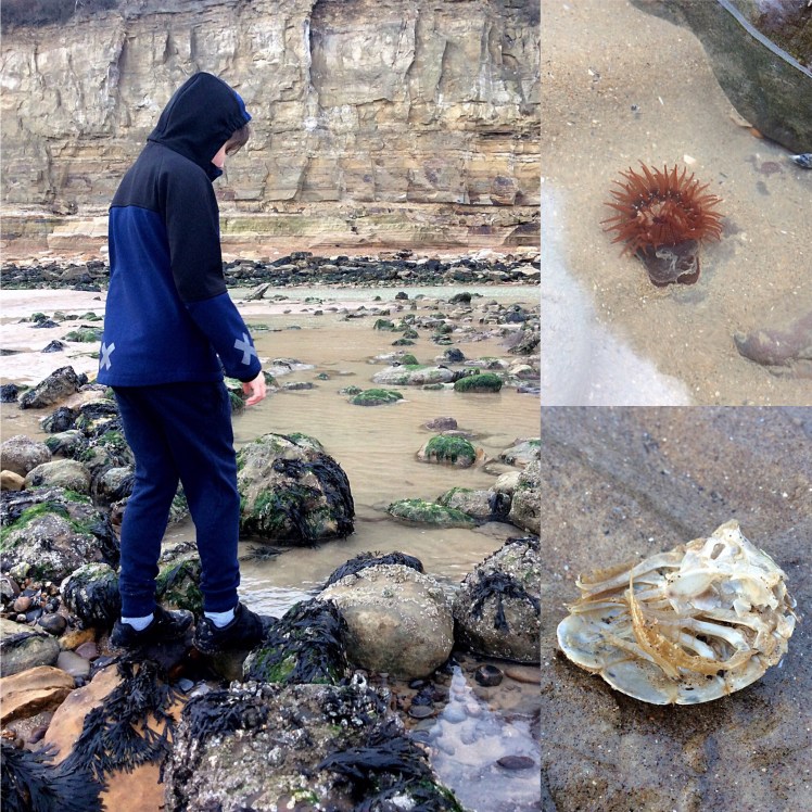 3F7E2362-13D0-4218-96EA-BC746C7A740F