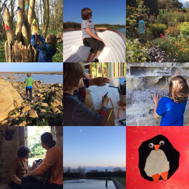 2017 Year of the Penguin