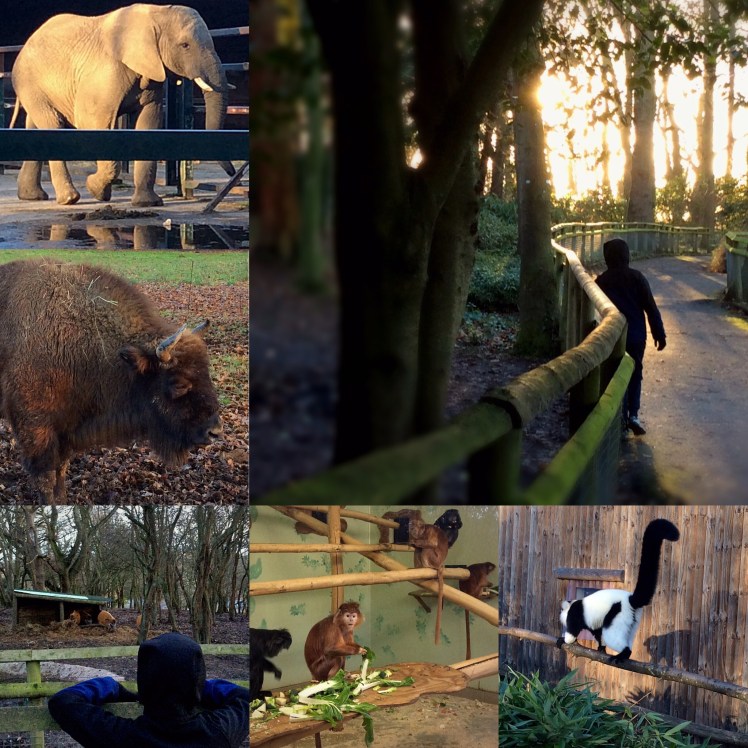 Howletts January 2018 - Sensational Learning with Penguin