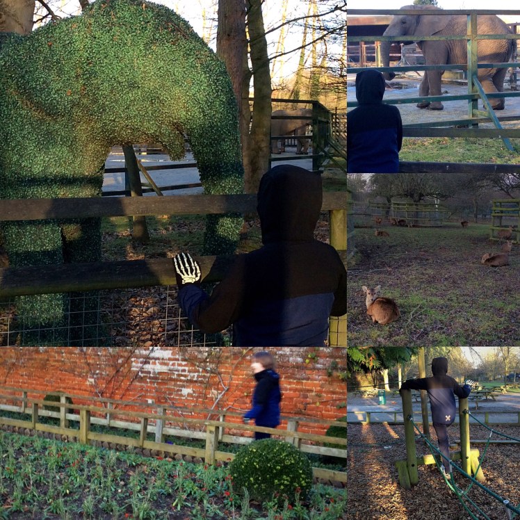 Howletts Wild Animal Park - January 2018 - Sensational Learning with Penguin