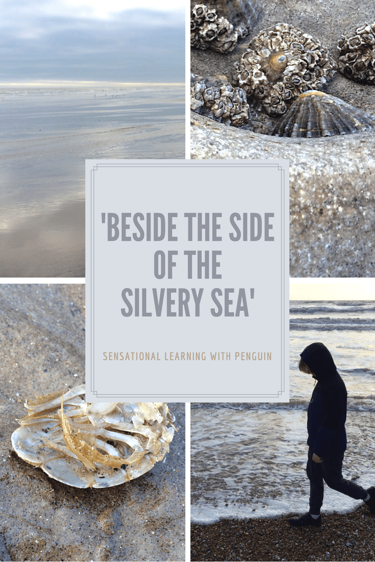 'Beside the side of the silvery sea' - Sensational Learning with Penguin #sensory #multisensory #seaside