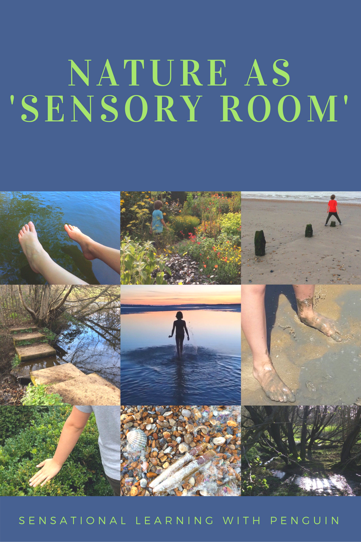 Nature as 'Sensory Room' - Sensational Learning with Penguin