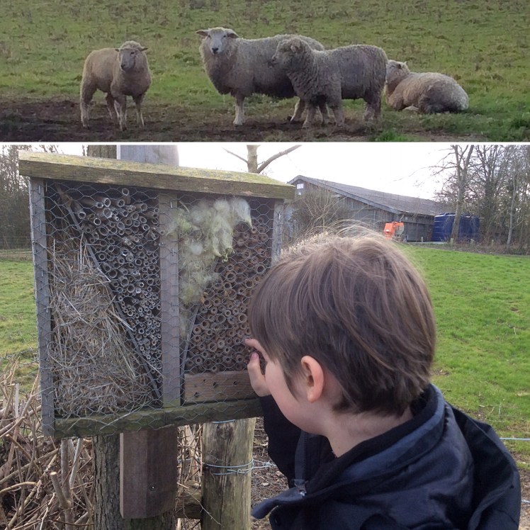 A34167E4-6E24-481B-9647-5531CD85170A