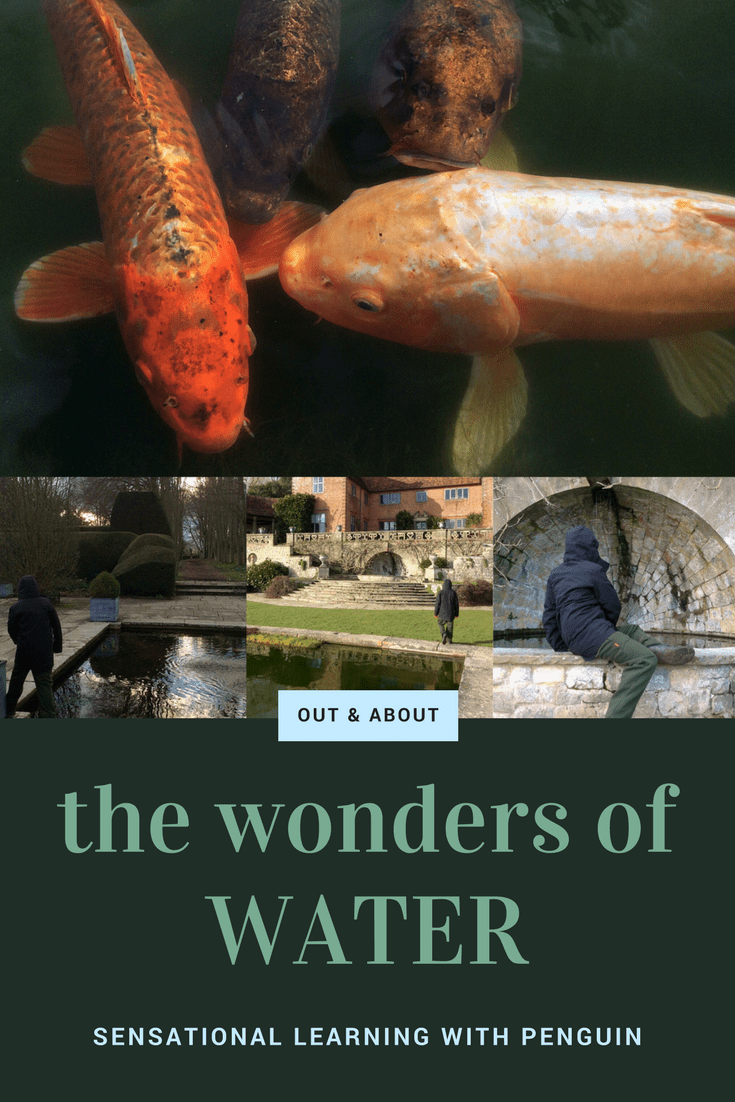 The Wonders of Water - Sensational Learning with Penguin