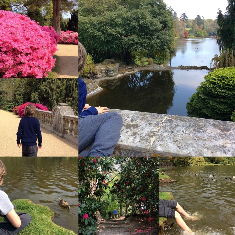 1D09151D-5772-4B00-B78B-BE713FD566BE