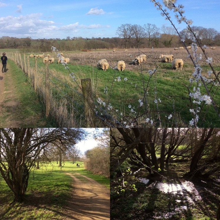 5444C3AD-ACEA-4F8C-A478-83AA8342C9E7