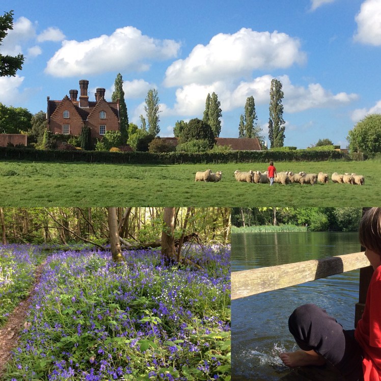 9257F9BF-F574-4750-874F-B1B19DA387FE