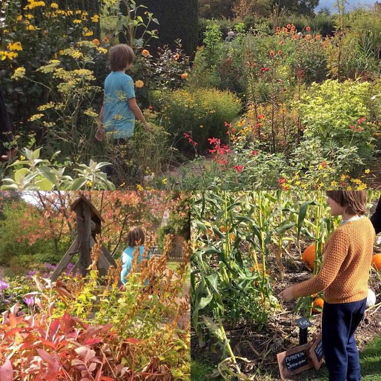 D0038783-0F90-44F6-95A0-D50FD127A74F