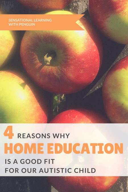 4 Reasons Why Home Education (Homeschooling) is a Good Fit for our Autistic Child. Sensory Processing, Special Educational Needs, Learning, Autism Awareness and Acceptance, Sleep issues, Stress Reduction, Social Interactions. Respect, Passion, Motivation.