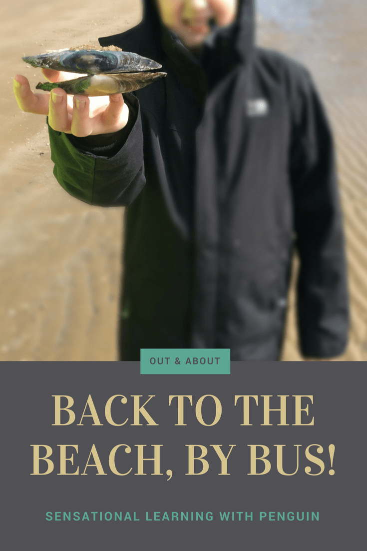 Back to the Beach, by Bus! - Sensational Learning with Penguin, March 2018. We took the double-decker bus to the beach, where we explored what the sea left behind as it was going out, as well as generally enjoying the sand and the sea.