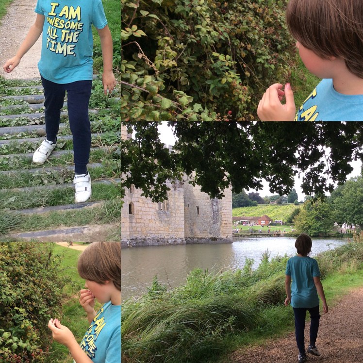 F2EADC3C-B130-4B81-A14F-6C57F41F84F3