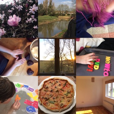 Settling into Our New Home - Sensational Learning with Penguin