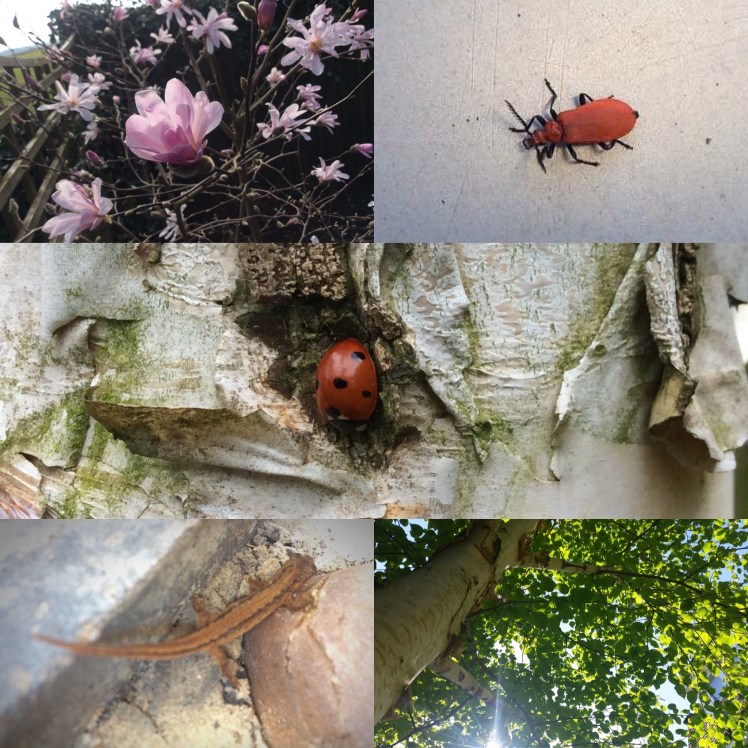 08330D74-E6A9-4721-9DF3-422657BB62E6