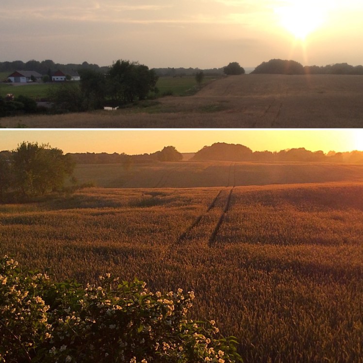 0DF1B9AC-9AC9-4983-8DBD-1E7725F3983B