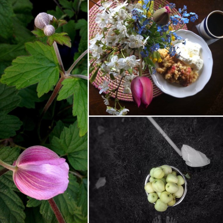 3E3B8EE4-E6B5-49C5-83CF-A3D631197A73