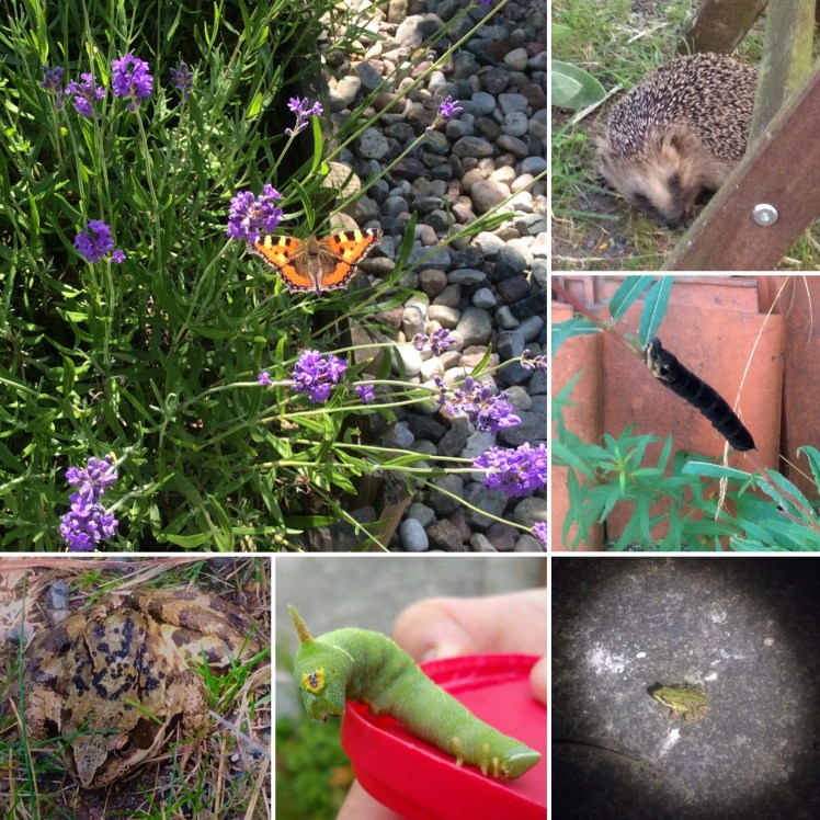 5A37208B-F3C3-4FF8-8366-3447B93D8C84