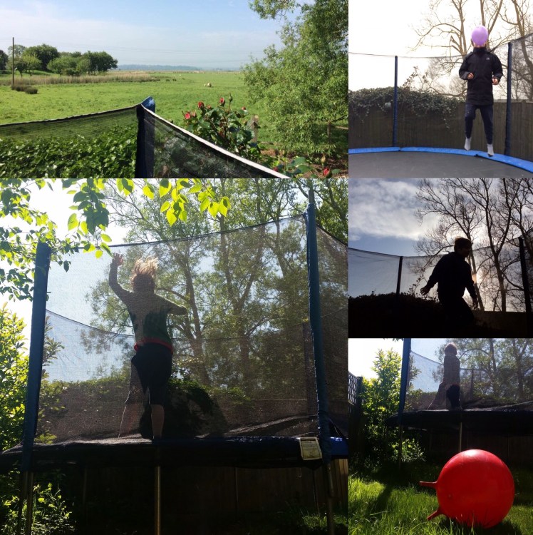 6368101C-E344-4F92-A38F-34E30B700182