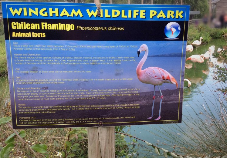 0F5D0AEF-9B40-49E8-B6EC-7820238F9358