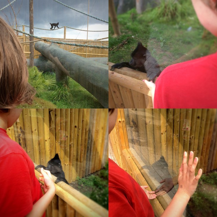 1DF4E4F7-2E77-44DA-ABBB-82CD74AF4AC7