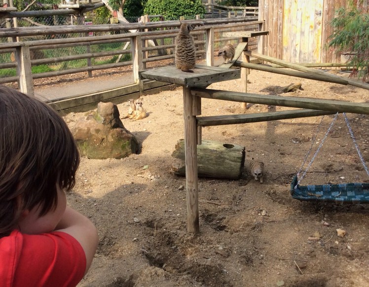 1FC23543-D162-4349-B479-97FF0C3C885E