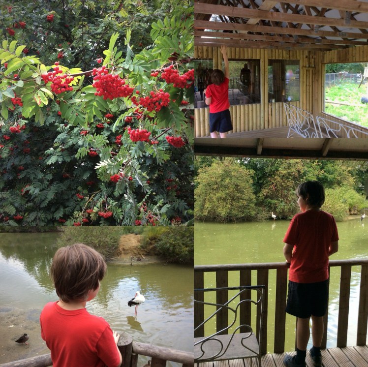 2D5FBDE0-BAEB-4EC4-BF7F-6E05C7BAF2D3