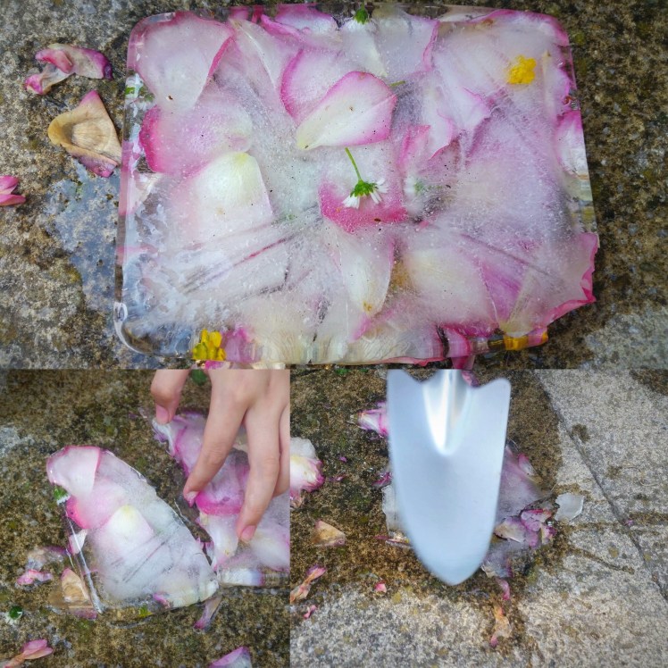 4C33FB95-6EB8-4149-8EE7-2293356B46B5