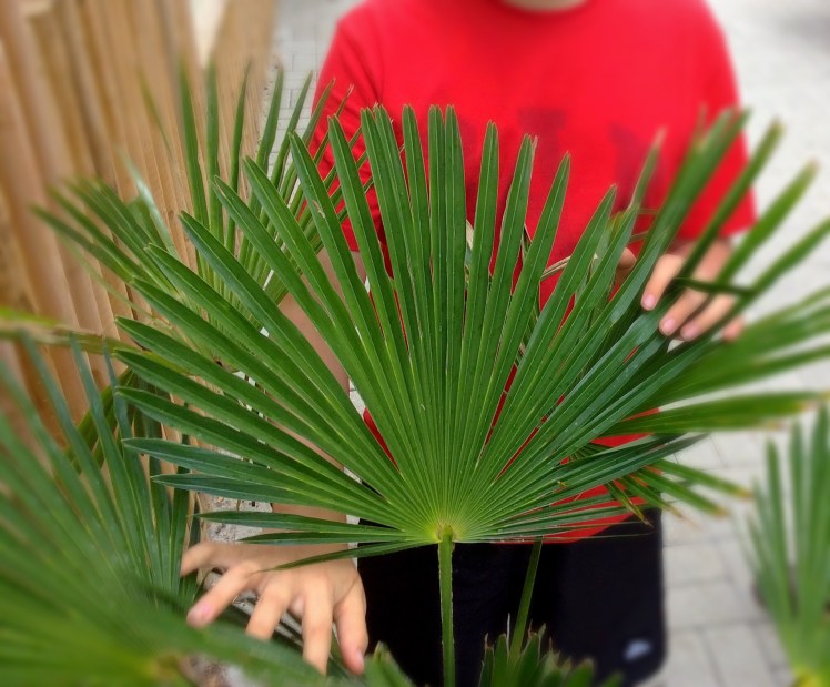 62F7D5B6-A29A-405A-8EA5-EC227DE1CE9C