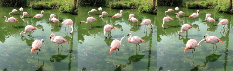 73814271-79E8-4EA2-826A-1A15BFE2B011