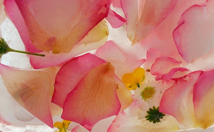 7C9B87BF-1AB7-41CE-8991-07B6F5A7A307