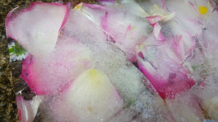 8C2830D1-BB9E-4A6D-B3CE-8E97BAC8FD41