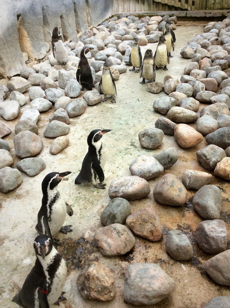 B5EA4815-E707-4BF6-BAF0-AA2A41D067A4