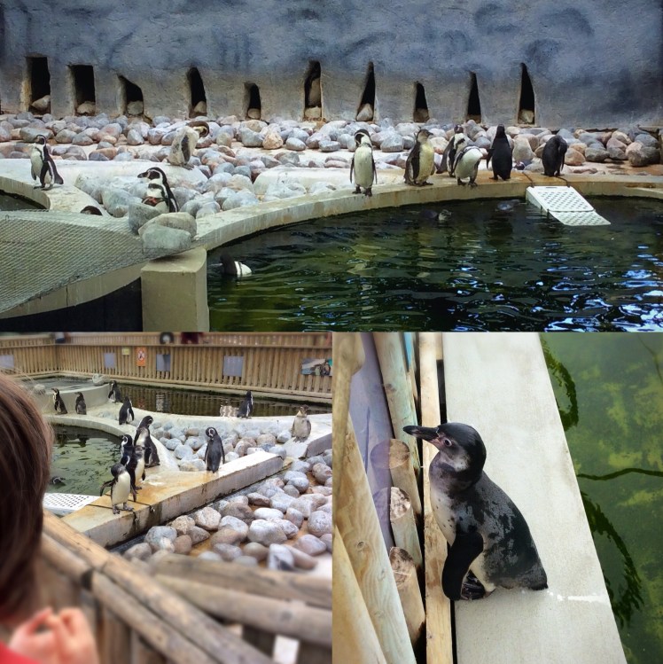 B6A0D830-6E7C-4542-B101-7DDC260A32C8