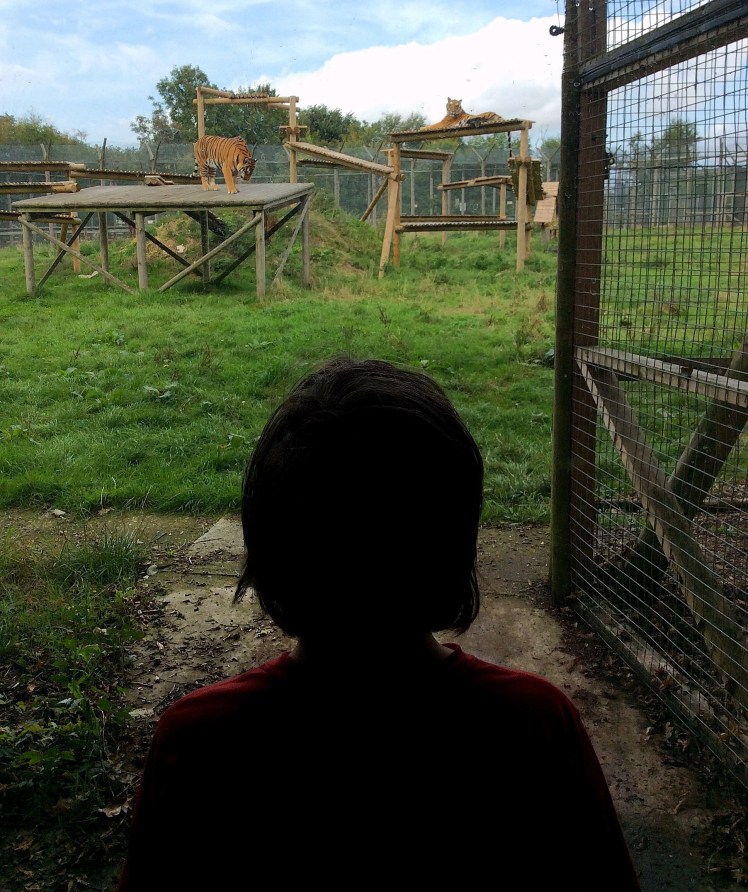 D3BFCBBE-CA0B-4D42-A95B-2FCAD62246D9