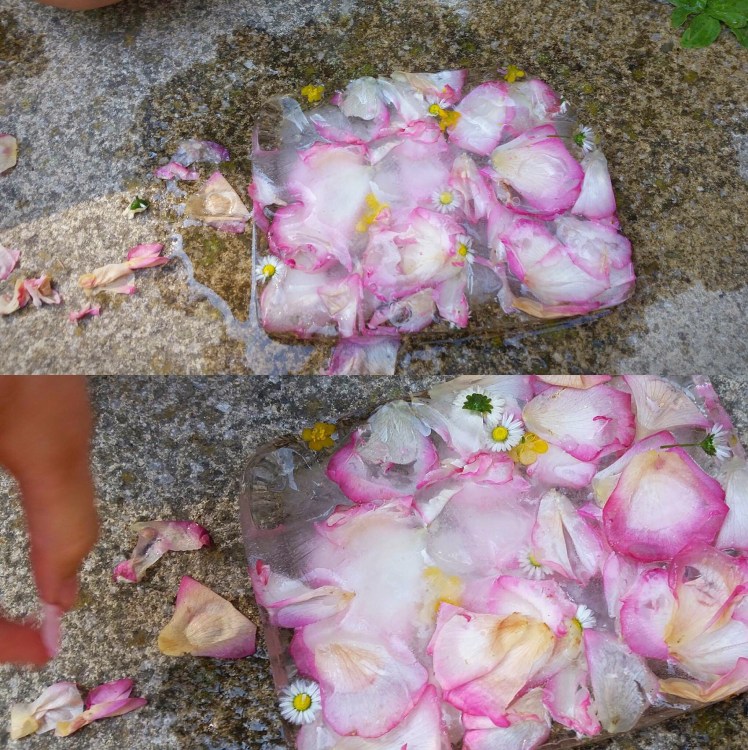 D8110C4D-15C1-421D-B889-2F56375B3413