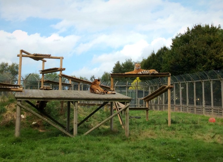 E3D79481-4CE3-4962-A8A8-8203FDB83E68