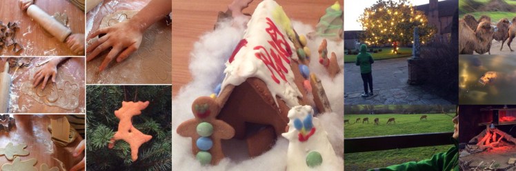 Advent activities 16-18