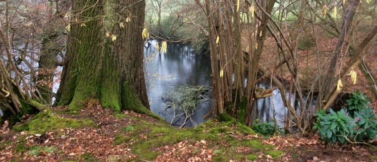 083ab95f-2dea-4b44-a469-8ef9f39dea83