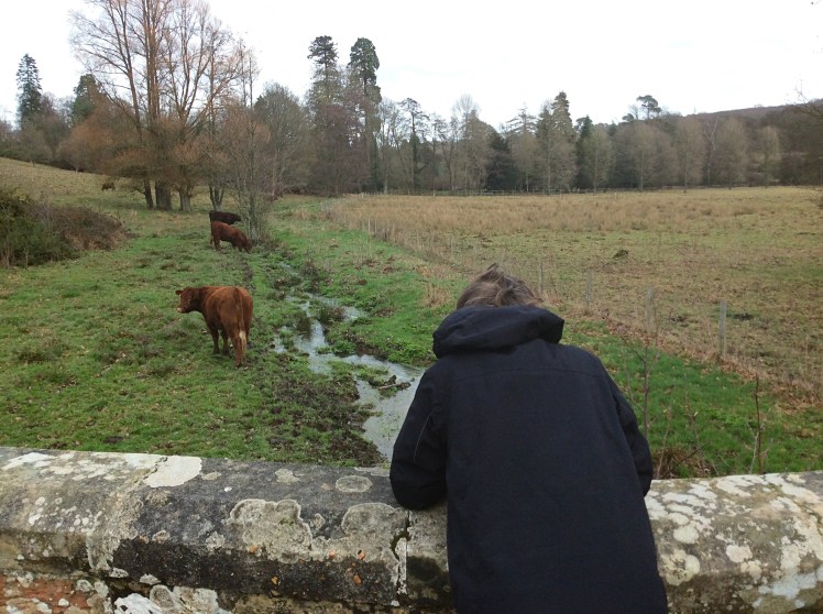 08eaaf7f-f9c6-4889-9714-c22f3cc5437c