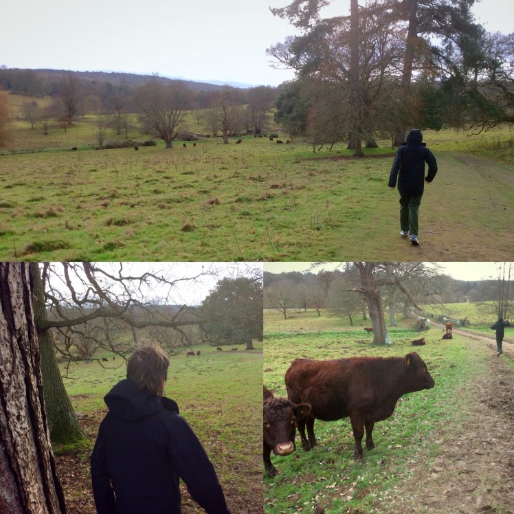 1ca9f72f-79aa-488b-83ca-d3d39bb1b5a1