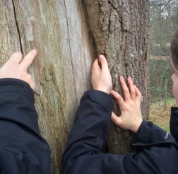 3a09860b-2b87-49d1-aae9-81fdc250bf1a