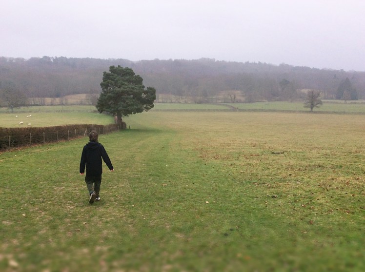 3d73df96-e71c-4c74-82ed-b3421e4afeb5