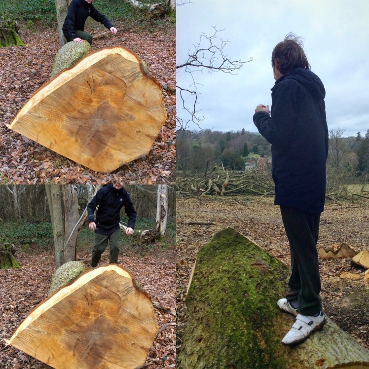 6a7cec2f-e8fc-4cf3-9a8c-50a64ce1d9e3