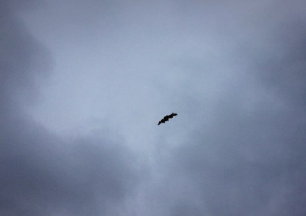 6f80008a-8604-478b-8957-e360d2957562