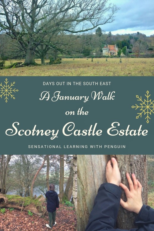 We went exploring on the estate around Scotney Castle in East Sussex. Even on a wet January day, it had plenty to offer, with Sussex Cattle and sheep grazing, woodland and parkland to explore, meaning many opportunities for hands-on and #multisensory #learning in the great #outdoors. Or just to relax and enjoy! #familydaysout