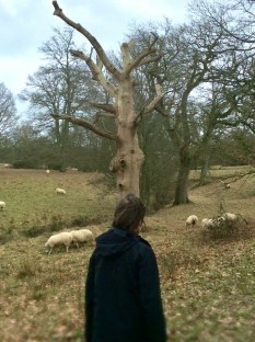 8dde8383-fb1c-4c10-9cbc-bd0d4af85cca