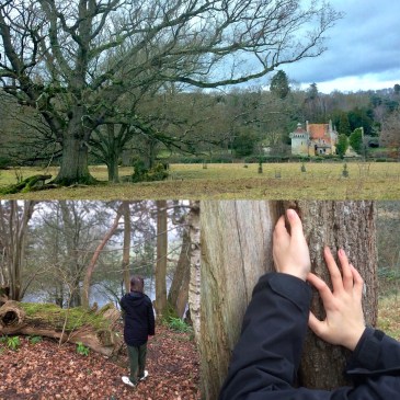 We went exploring on the estate around Scotney Castle in East Sussex. Even on a wet January day, it had plenty to offer, with Sussex Cattle and sheep grazing, woodland and parkland to explore, meaning many opportunities for hands-on and #multisensory #learning in the great #outdoors. Or just to relax and enjoy! #familydaysout
